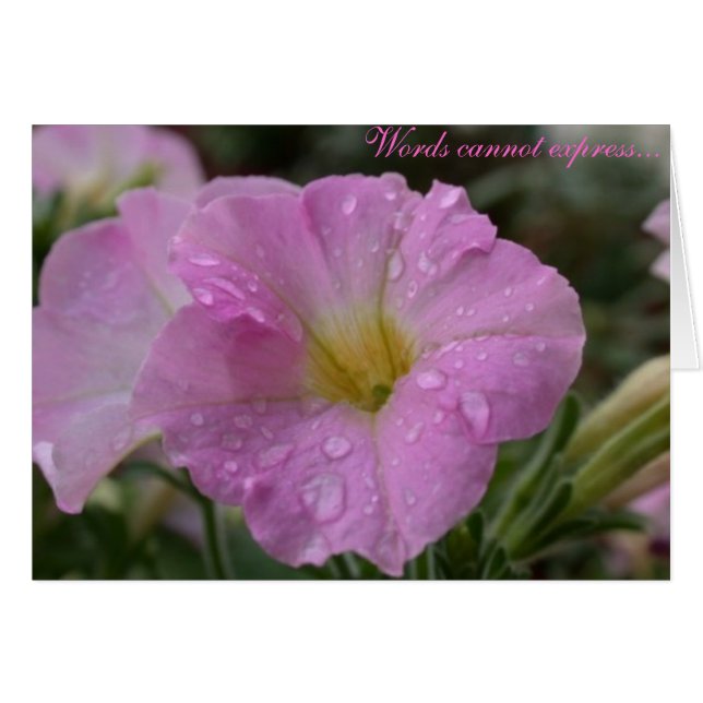 Ord kan inte uttrycka.. hälsningskort (Framsidan Horizontal)