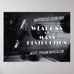 Ord kan vara massförstörelsevapen - revisionsansva poster