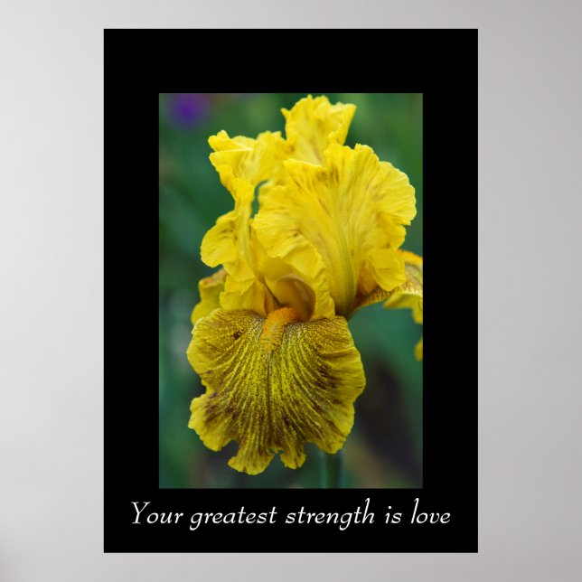 Ord Poster Wisdom (Framsidan)