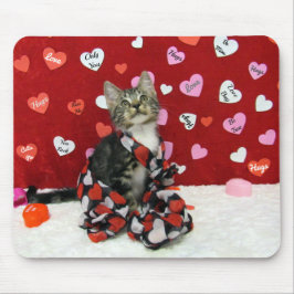 Ord till Kärlek by, Bandit the Tabby Kitten Mousep Musmatta