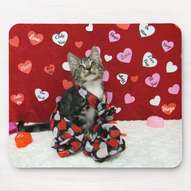 Ord till Kärlek by, Bandit the Tabby Kitten Mousep Musmatta (Framsidan)