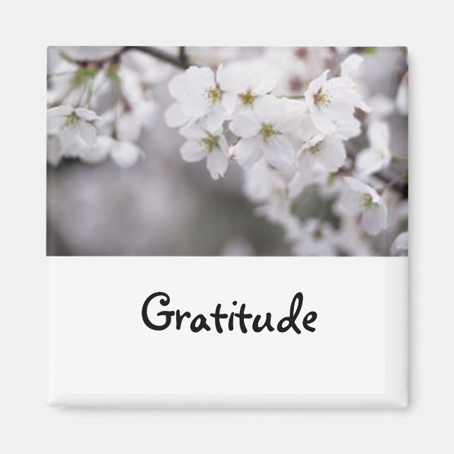 Ord till Live by: Gratitude-Magnet Magnet (Framsidan)