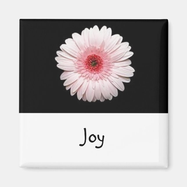 Ord till Live by: Joy-Magnet Magnet (Framsidan)