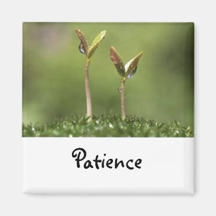 Ord till Live by: Patientmagnet Magnet