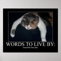 Ord till Live by