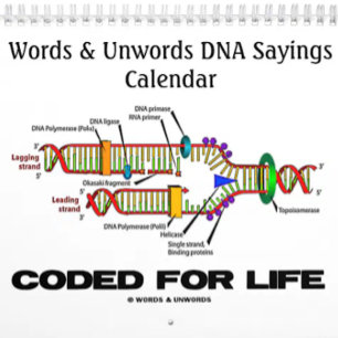 Ord & Unwords DNA Ord 2016-kalender Kalender