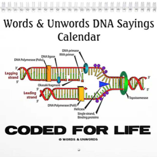 Ord & Unwords DNA Ord 2016-kalender Kalender (Calendar featuring funny DNA/genetics sayings for anyone into wry molecular biology attitude!)