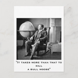 Ordförande Teddy Roosevelt Vintage White House Vykort