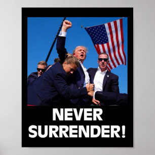 Ordförande Trump3 Poster