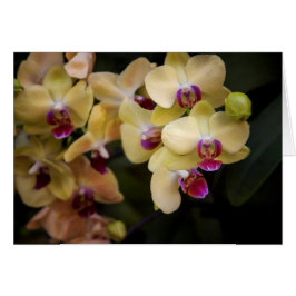 Ordningar för rosa och gult hälsningskort