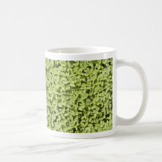Oregano Mugg