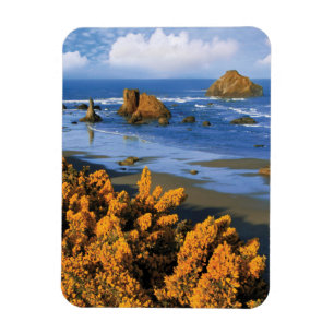 Oregon Beach View i Bandon Magnet