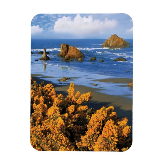Oregon Beach View i Bandon Magnet (Vertikal)