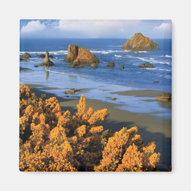Oregon Beach View i Bandon Magnet (Framsidan)