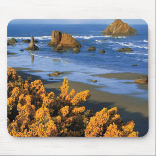 Oregon Beach View I Bandon Musmatta