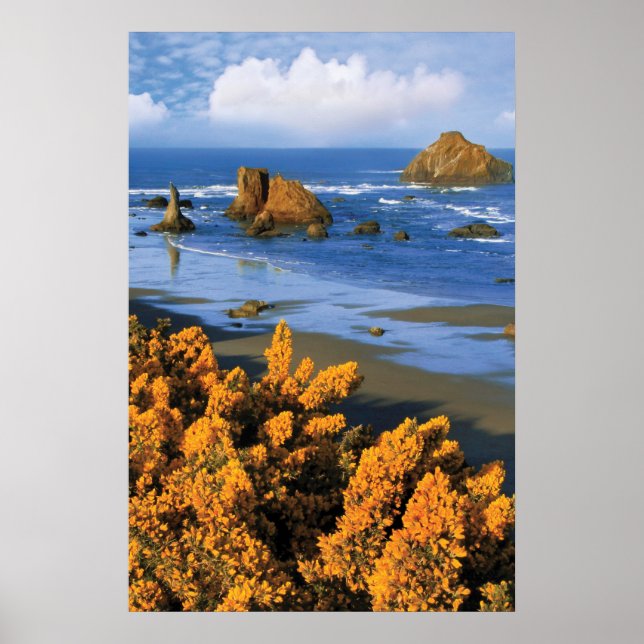Oregon Beach View i Bandon Poster (Framsidan)
