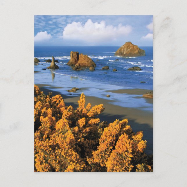 Oregon Beach View i Bandon Vykort (Framsida)