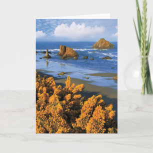 Oregon Beach View in Bandon Kort