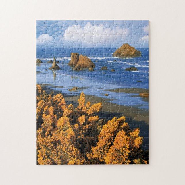 Oregon Beach View in Bandon Pussel (Vertikal)
