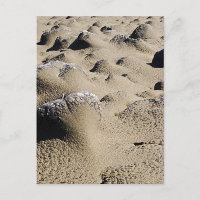 Oregon Beach Vykort (Framsida)