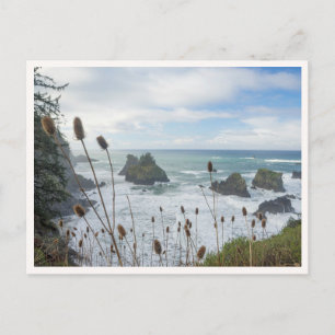 Oregon Coast Arch Rock State Park Brookings Beach Vykort