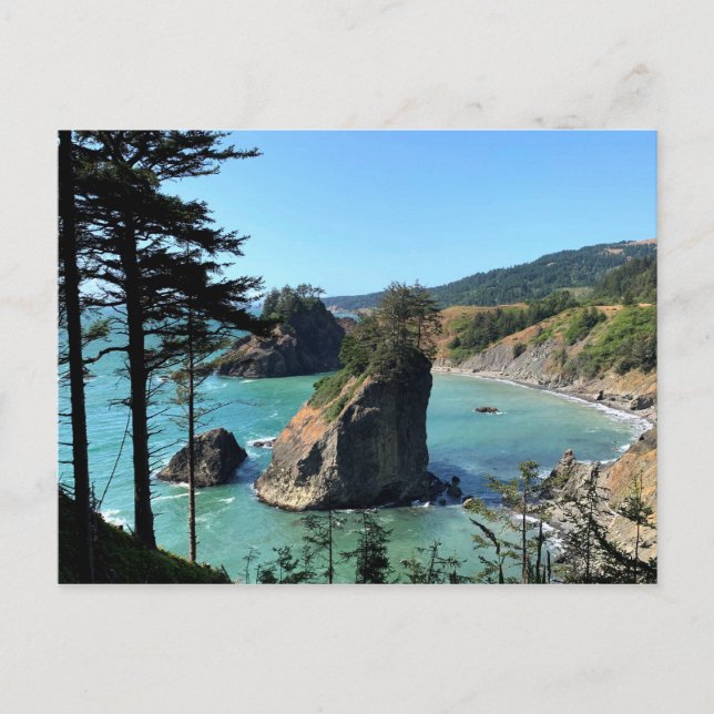 Oregon Coast Boardman Scenic Overlook Vykort (Framsida)
