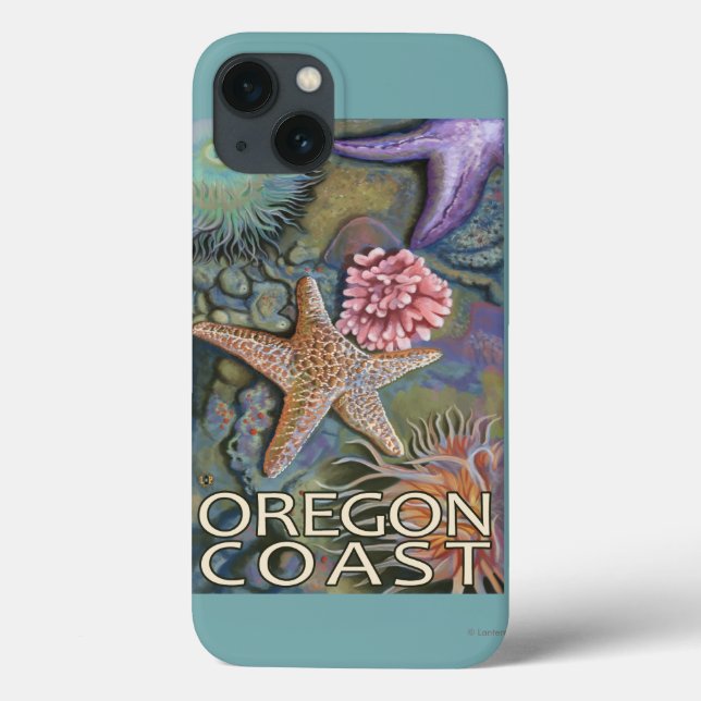 Oregon Coast Tidepool (Baksida)