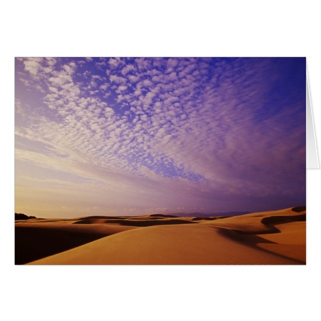Oregon Dunes National Recreation Area, Oregon Hälsningskort (Framsidan Horizontal)