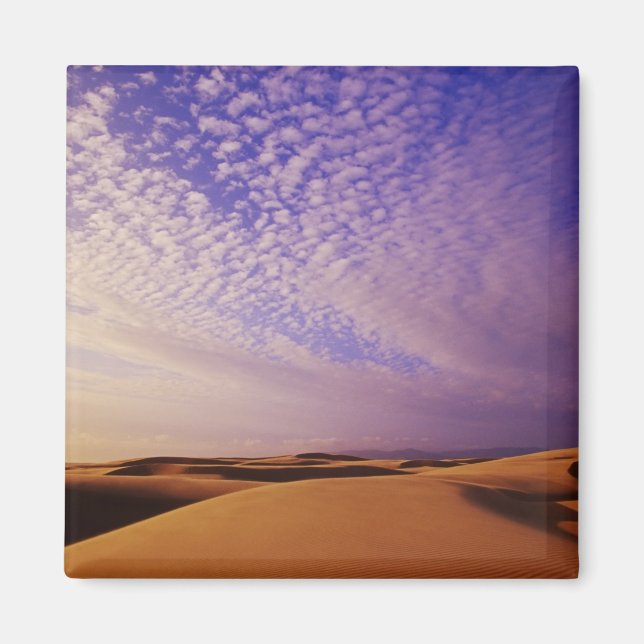 Oregon Dunes National Recreation Area, Oregon Magnet (Framsidan)