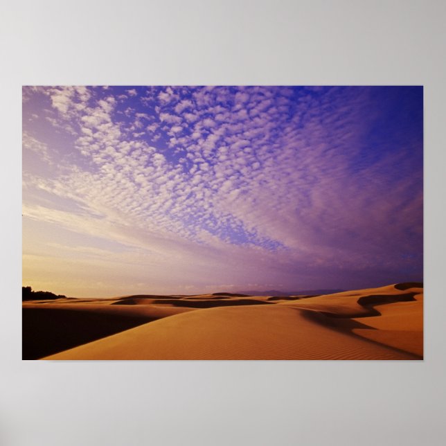 Oregon Dunes National Recreation Area, Oregon Poster (Framsidan)