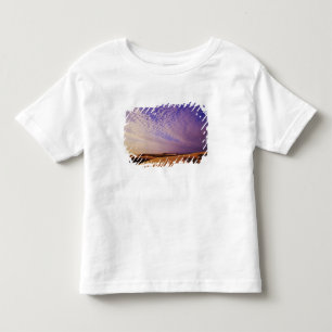 Oregon Dunes National Recreation Area, Oregon Tee