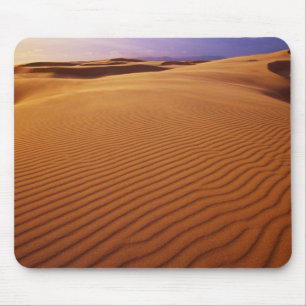Oregon Dunes National Recreation Area, Oregon vid Musmatta