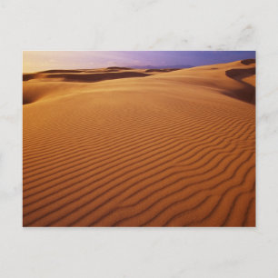 Oregon Dunes National Recreation Area, Oregon vid Vykort
