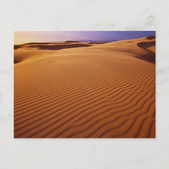 Oregon Dunes National Recreation Area, Oregon vid Vykort (Framsida)
