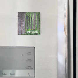Oregon Evergreen Forest Magnet