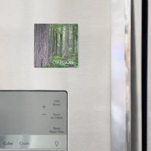 Oregon Evergreen Forest Magnet