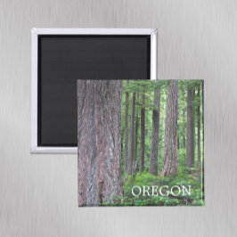 Oregon Evergreen Forest Magnet