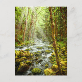 Oregon Fantasy Forest Stream Vykort