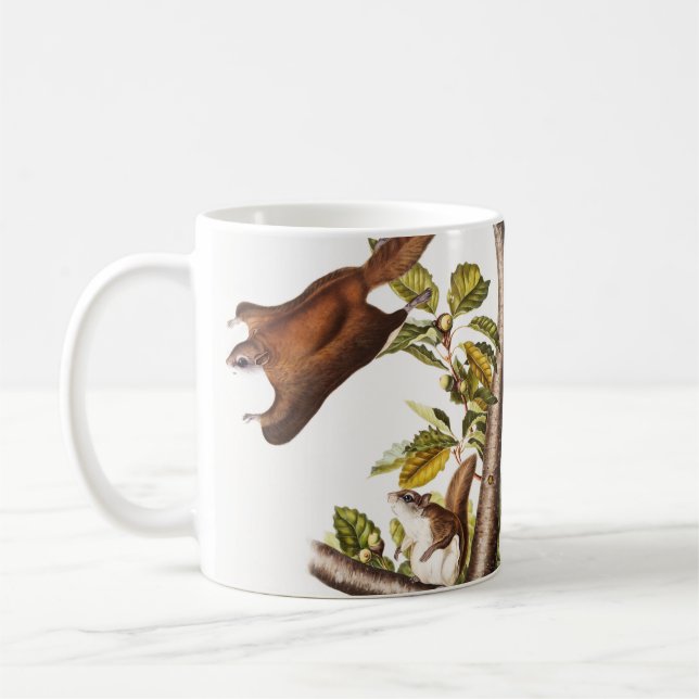 Oregon Flies Squirrel (Pteromys Origonensis) Kaffemugg (Vänster)