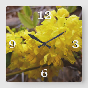 Oregon Grape Flowers Gult Wildblommor Fyrkantig Klocka
