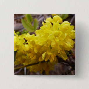 Oregon Grape Flowers Gult Wildblommor Knapp