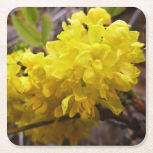 Oregon Grape Flowers Gult Wildblommor Underlägg Papper Kvadrat