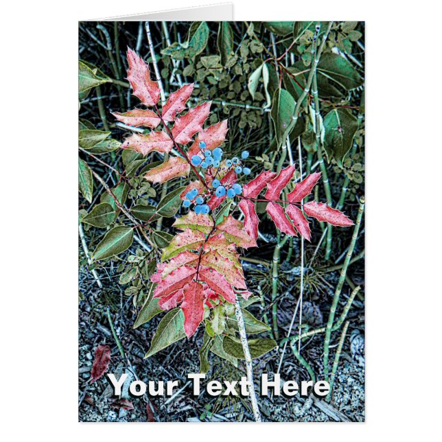 Oregon Grape Hälsningskort (Framsidan)