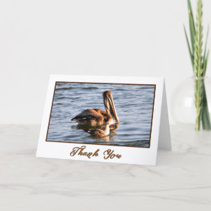 Oregon Kusten Brown Pelican Photo Tackto You Card Tack Kort