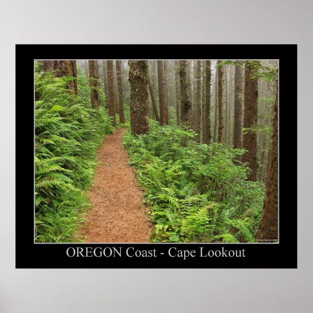 Oregon Kusten - Cape Lookout Poster (Framsidan)