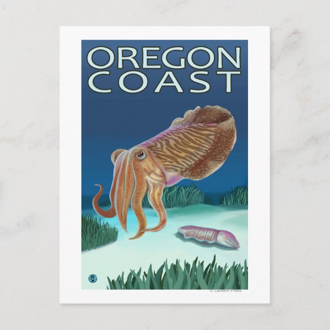 Oregon Kusten Cuttlefish Vykort (Framsida)