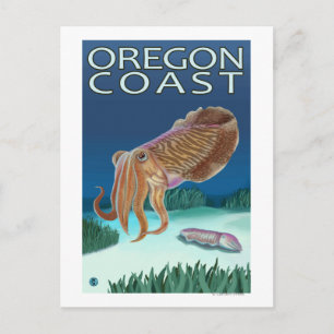 Oregon Kusten Cuttlefish Vykort