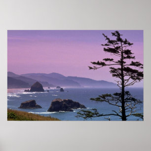 Oregon kusten, Ecola State Park, Oregon Poster