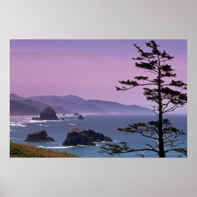 Oregon kusten, Ecola State Park, Oregon Poster (Framsidan)