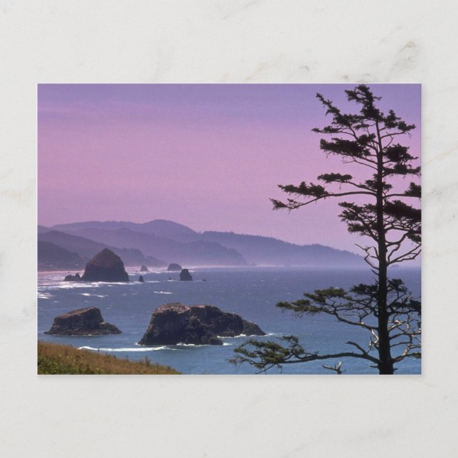 Oregon kusten, Ecola State Park, Oregon Vykort (Framsida)